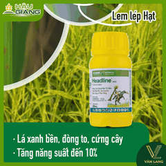 BASF - Thuốc trừ bệnh HEADLINE® 100CS 250ML - Pyraclostrobin 100 g/lít - Trừ bệnh đạo ôn  lem lép, phấn trắng,
