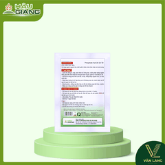 HẬU GIANG - Phân bón NPK HG 02 JAPAN 40GR - P₂O₅ 30% + K₂O 20% - Dưỡng cây giai đoạn làm đồng, trổ bông