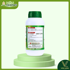 HẬU GIANG - Phân bón vi lượng LACCA SOTO JAPAN 500ML - B 2.000 ppm + Cu 1.000 ppm + Fe 1.000 ppm + Zn 1.000 ppm - Hỗ trợ thân, lá, rễ phát triển, tăng năng suất trái, củ, hạt
