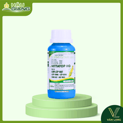HẬU GIANG - Thuốc trừ bệnh MITTATOP 325SC 240ml - Azoxystrobin 200g/L + Difenoconazole 125g/L - Phòng trị lem lép hạt, giữ xanh lá