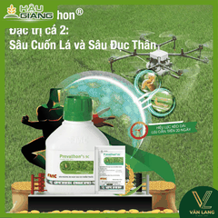 FMC - Thuốc trừ sâu PREVATHON 5SC 2kg - Chlorantraniliprole 5% w/w - Trừ sâu đục thân sâu cuốn lá sâu keo mùa thu