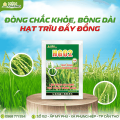 HẬU GIANG - Phân bón NPK HG 02 JAPAN 40GR - P₂O₅ 30% + K₂O 20% - Dưỡng cây giai đoạn làm đồng, trổ bông