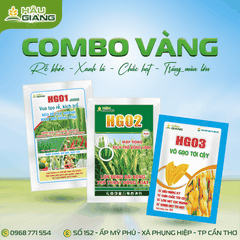 HẬU GIANG - Phân bón NPK HG 02 JAPAN 40GR - P₂O₅ 30% + K₂O 20% - Dưỡng cây giai đoạn làm đồng, trổ bông