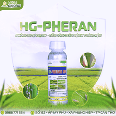 HẬU GIANG - PHERAN 500EC 480ML (AL) - Permethrin 500g/l - Phòng trừ sâu cuốn lá, sâu đục thân, rầy nâu, bọ trĩ, sâu tơ, sâu xanh, sâu đục quả