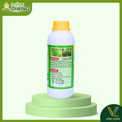 TD - Phân bón vi lượng VỌT HOA SÁNG HOA 500ML - B 2.000 ppm + Cu 1.000 ppm + Fe 1.000 ppm + Zn 1.000 ppm - Hỗ trợ ra hoa, bông sáng, dưỡng hoa khỏe, chống rụng