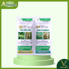 HẬU GIANG - Thuốc trừ bệnh VUA ĐẠO ÔN SIÊU VI KHUẨN 55GR - Tricyclazole 400g/kg + Isoprothiolane 400g/kg + Kasugamycin 6%w/w - Phòng trị đạo ôn lá, đạo ôn cổ bông, bạc lá, cháy bìa lá