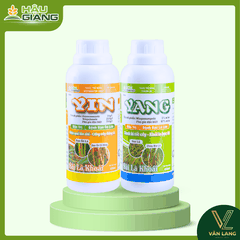 HẬU GIANG - Thuốc trừ bệnh YINYANG 450ML + 450ML - Hexaconazole 30g/L + Tricyclazole 220g/L + Ningnanmycin 3% w/w - Phòng trừ đạo ôn, khô vằn, lem lép hạt, cháy bìa lá, khô cổ bông, thán thư, đốm lá, loét trái,..