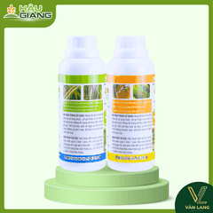 HẬU GIANG - Thuốc trừ bệnh YINYANG 450ML + 450ML - Hexaconazole 30g/L + Tricyclazole 220g/L + Ningnanmycin 3% w/w - Phòng trừ đạo ôn, khô vằn, lem lép hạt, cháy bìa lá, khô cổ bông, thán thư, đốm lá, loét trái,..