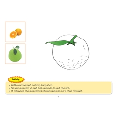 Bé HĐ&KPCĐ - Chủ đề Cây và những bông hoa đẹp (Dành cho trẻ 24-36 tháng tuổi)