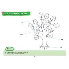 Các hoạt động giúp trẻ 3 - 4 tuổi khám phá chủ đề - Chủ đề Thế giới Thực vật (Theo quan điểm lấy trẻ làm trung tâm)