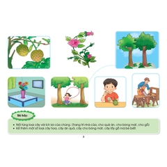 Các hoạt động giúp trẻ 4 - 5 tuổi khám phá chủ đề - Chủ đề Thế giới Thực vật (Theo quan điểm lấy trẻ làm trung tâm)