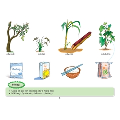 Các hoạt động giúp trẻ 4 - 5 tuổi khám phá chủ đề - Chủ đề Thế giới Thực vật (Theo quan điểm lấy trẻ làm trung tâm)