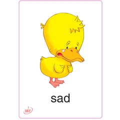 Flashcard Eduplay Friends 1A