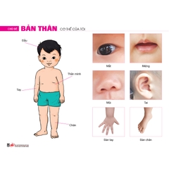 Bộ tranh theo chủ đề (Dành cho trẻ 3 - 4 tuổi)