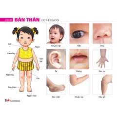Bộ tranh theo chủ đề (Dành cho trẻ 4 - 5 tuổi)