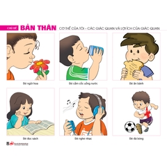 Bộ tranh theo chủ đề (Dành cho trẻ 5 - 6 tuổi)