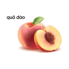Lô tô thực vật