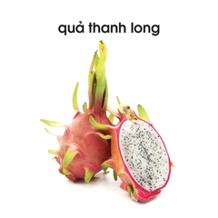 Lô tô thực vật