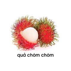 Lô tô các loại quả