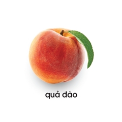 Lô tô các loại quả