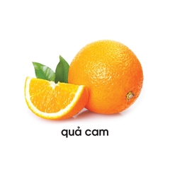 Lô tô các loại quả