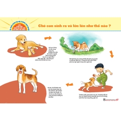 Bộ tranh khám phá môi trường xung quanh – Các con vật sinh ra và lớn lên như thế nào?