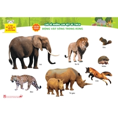 Bộ tranh giúp trẻ mẫu giáo khám phá các chủ đề nhánh - Chủ đề Những con vật bé thích