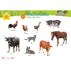 Bộ tranh giúp trẻ mẫu giáo khám phá các chủ đề nhánh - Chủ đề Những con vật bé thích
