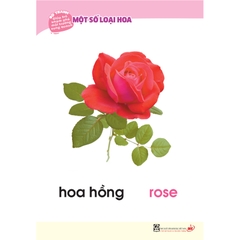 Bộ tranh giúp trẻ khám phá môi trường xung quanh – Một số loại hoa (song ngữ Việt - Anh)