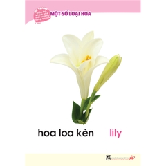 Bộ tranh giúp trẻ khám phá môi trường xung quanh – Một số loại hoa (song ngữ Việt - Anh)