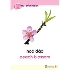 Bộ tranh giúp trẻ khám phá môi trường xung quanh – Một số loại hoa (song ngữ Việt - Anh)