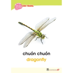 Bộ tranh giúp trẻ khám phá môi trường xung quanh – Côn trùng, chim (song ngữ Việt - Anh)