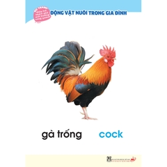 Bộ tranh giúp trẻ khám phá môi trường xung quanh – Động vật nuôi trong gia đình (song ngữ Việt - Anh)