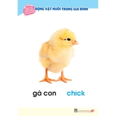 Bộ tranh giúp trẻ khám phá môi trường xung quanh – Động vật nuôi trong gia đình (song ngữ Việt - Anh)