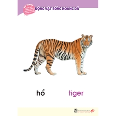 Bộ tranh giúp trẻ khám phá môi trường xung quanh – Động vật sống hoang dã (song ngữ Việt - Anh)
