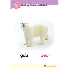 Bộ tranh giúp trẻ khám phá môi trường xung quanh – Động vật sống hoang dã (song ngữ Việt - Anh)
