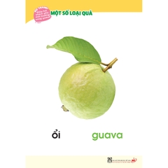 Bộ tranh giúp trẻ khám phá môi trường xung quanh – Một số loại quả (song ngữ Việt - Anh)