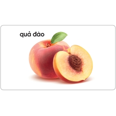 Lô tô giúp bé nhận biết thế giới thực vật (Dành cho giáo viên mầm non)