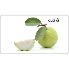 Lô tô giúp bé nhận biết thế giới thực vật (Dành cho giáo viên mầm non)