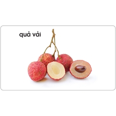 Lô tô giúp bé nhận biết thế giới thực vật (Dành cho giáo viên mầm non)
