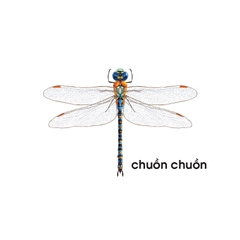 Lô tô giúp bé nhận biết thế giới động vật (Dành cho giáo viên mầm non)