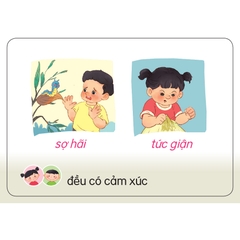 Lô tô giáo dục giới dành cho trẻ mầm non