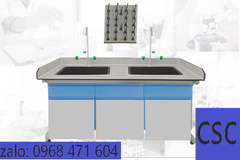 BÀN THÍ NGHIỆM CÓ BỒN RỬA( 2 VỊ TRÍ)