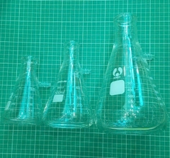 Bình tam giác có nhánh 250ml