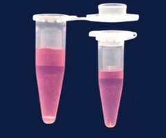 Ống eppendoft 1.5ml