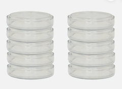 Hộp lồng petri phi 12cm