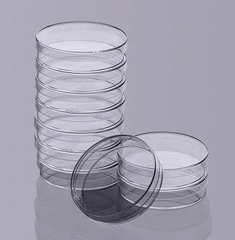 Hộp lồng petri nhựa phi 6cm