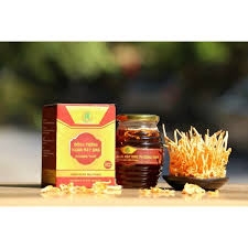 Đông trùng hạ thảo khô ngâm mật ong 370ml