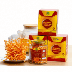 Đông trùng hạ thảo khô 20g