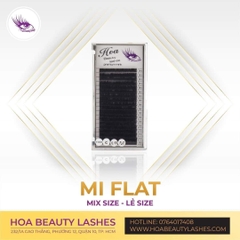 Mi Flat
